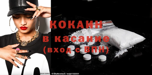 индика Волосово