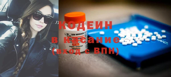 индика Волосово