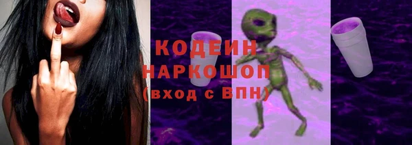 индика Волосово