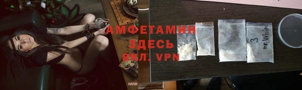 индика Волосово
