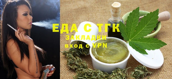индика Волосово