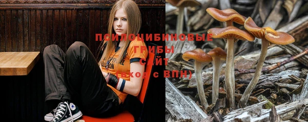 марки lsd Володарск