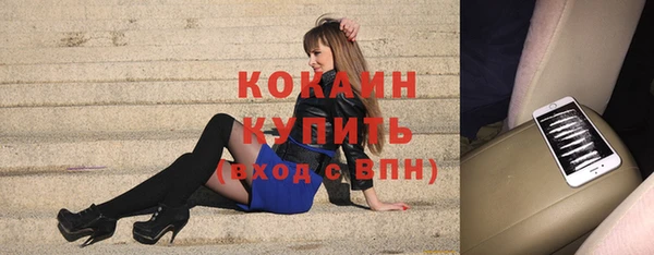 индика Волосово