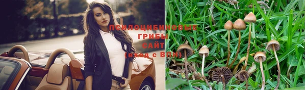 индика Волосово